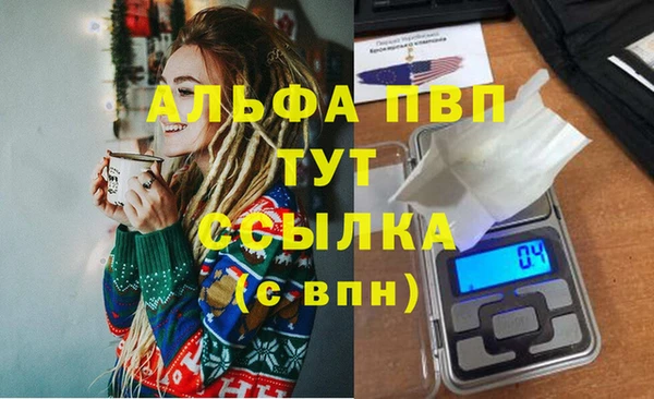 дмт Бородино