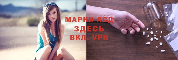 дмт Бородино