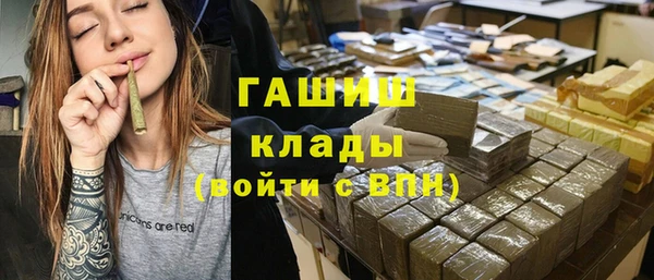 дмт Бородино