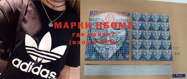 дмт Бородино
