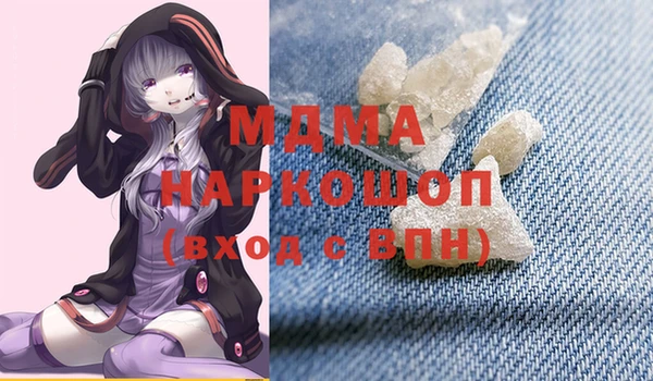 дмт Бородино