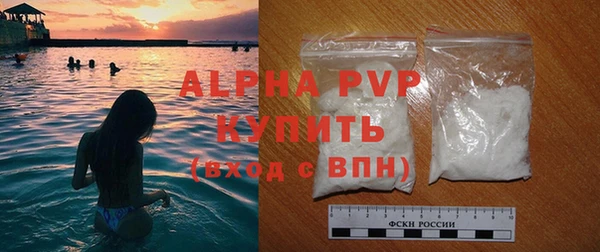 дмт Бородино
