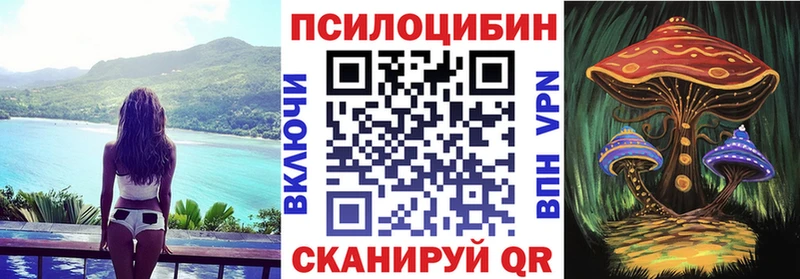 Галлюциногенные грибы Cubensis  Мензелинск 